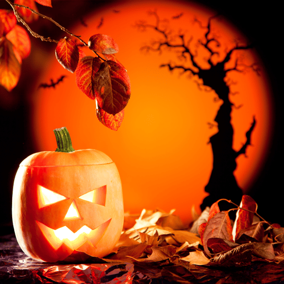 LO_2024_Newsletter_Art_OCTOBER (1)